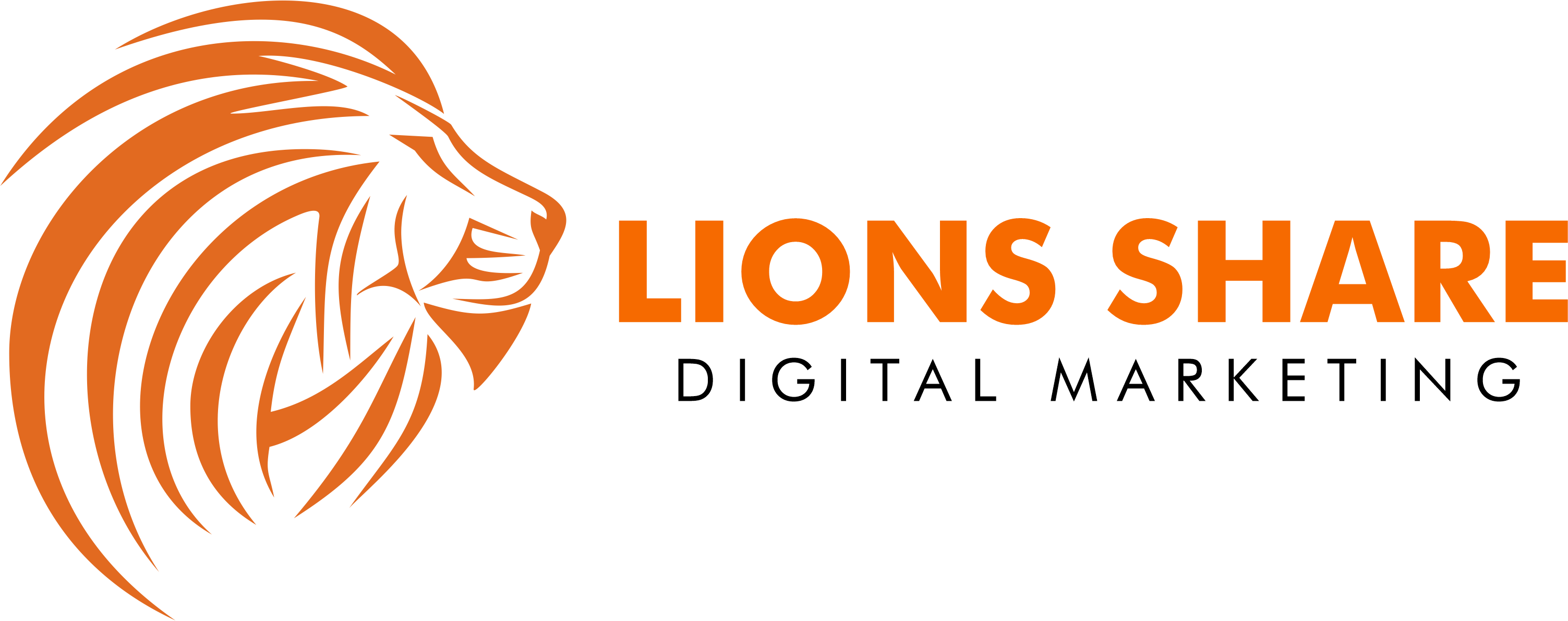 Lions Share Digital Marketing